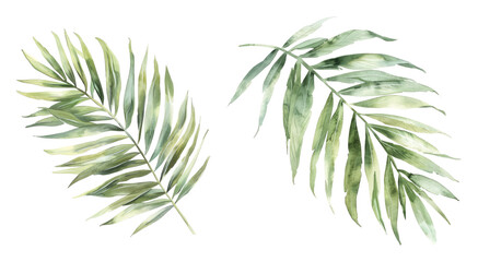 Watercolor painting of elongated palm leaves