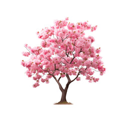 A flourishing pink cherry blossom tree isolated on transparent background, epitomizing the beauty of spring. Generative AI
