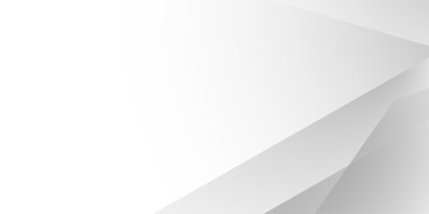 Abstract white and gray texture line shadow shape background. white pattern. vector illustration