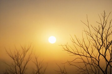 Obraz premium sunset over the lake