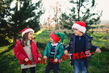 3 lovely brothers and sister holding Merry Christmas sign