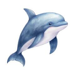 Dolphin Isolated Detailed Watercolor Hand Drawn Painting Illustration