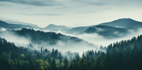 Obraz premium A panoramic view of mist-covered mountains and dense forest creates an ethereal atmosphere. The fog adds depth to the scene, highlighting details in the trees and distant peaks. This image is perfect 