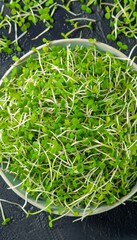 Wholesome dish incorporating microgreens tailored for health conscious individuals