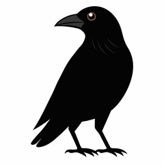 crow silhouette vector art