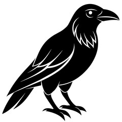 crow vector icon illustration art