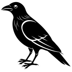 crow silhouette vector illustration