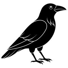 crow  vector icon illustration