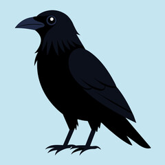 crow vector art illustration icon