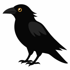 crow vector art illustration