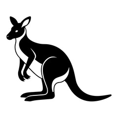 kangaroo illustration