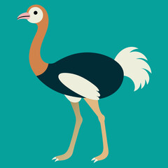 Obraz premium Ostrich vector art illustration