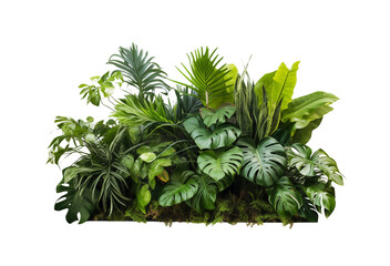 A lush arrangement of tropical plants with various leaf patterns, isolated on a transparent background. Generative AI