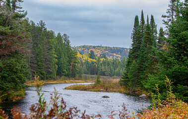 Fall morning along Costello Creek in Algonquin Park, Canada