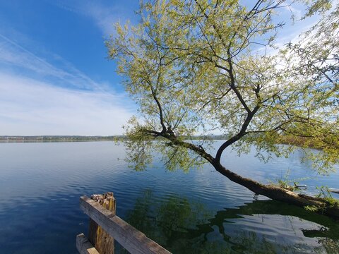 Landschaft am greifensee. Der Greifensee ist ein &ouml;stlich des n&ouml;rdlichen Z&uuml;richsees liegender See in der Schweiz. Die Ufer des Greifensees sind gesch&uuml;tzt.