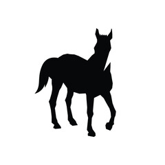 Horse silhouette black and white simple pose