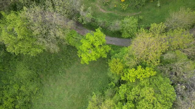 Aerial video over a stream in the Saint Loup Le Maire region, France