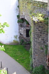 old walls with plants