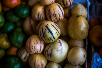2023 8 23 Peru Solanum muricatum Aiton 3