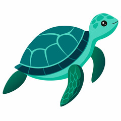 Sea Turtle Vector art illustration (13)
