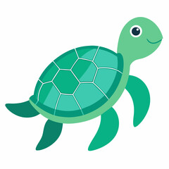 Sea Turtle Vector art illustration (14)