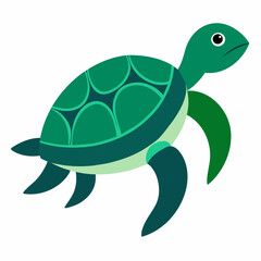Sea Turtle Vector art illustration (29)