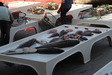 fish in the market
