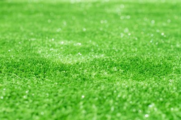 Fototapeta premium green grass, realistic ground ecology, cutaway terrain floor with rock isolated on white background