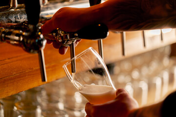 close-up in beer hall at the bar counter the bartender's hands pour light beer into a glass