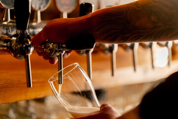 close-up in beer hall at the bar counter the bartender's hands pour light beer into a glass - obrazy, fototapety, plakaty