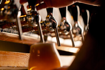 close-up in beer hall at the bar counter the bartender's hands pour light beer into a glass