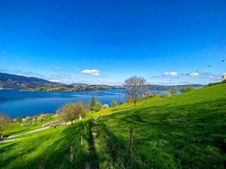 Fototapeta premium Scenic rural landscape with Lake Lucerne in the background seen from hiking trail from Bürgenstock mountain to Kehrsiten on a sunny spring day. Photo taken April 11, Kehrsiten, Switzerland.