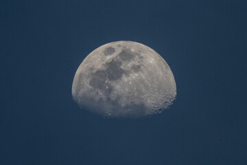 Obraz premium moon in the night