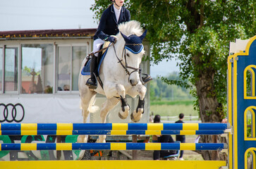 Show jumping competition on horseback. Horse Jumping, Equestrian Sports, Show Jumping themed photo.
