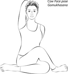 Sketch of young woman practicing Gomukhasana yoga pose. Cow Face pose. Intermediate Difficulty. Isolated vector illustration.