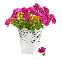 Bouquet pink chrysanthemum in white bucket with butterfly autumn yellow flowers in vase. Side view. Isolated. PNG.
