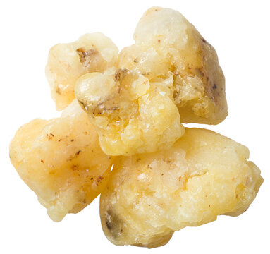 Natural elemi resin isolated on white background, top view.