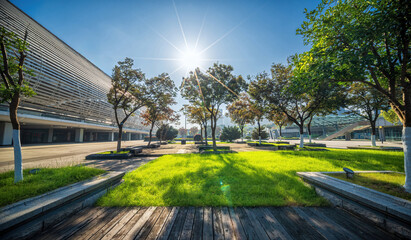 In a modern city square, sunlight shines through the trees on the lawn