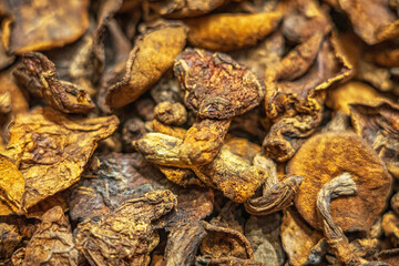 Close-Up of Dried Wild Mushroom Texture
