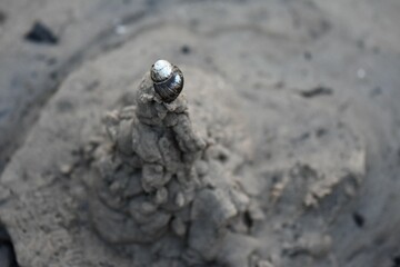 Hand made sand castle on the beach