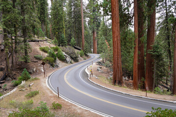 The Generals Highway is a highway that connects State Route 180 and State Route 198 through Sequoia National Park.