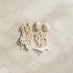 Sea shells, corals, sea stones with sun shadow at sunlight, nature photo of many white shell and coral pieces scattered on light beige concrete, minimal monochrome pattern, neutral pastel card