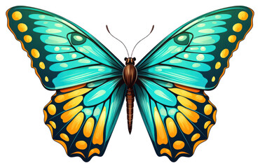 PNG Butterfly Colored Hand Drawn Illustration butterfly insect animal.