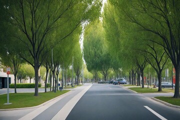 Fototapeta premium road in the city