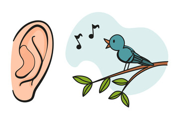 Cartoon sensory organ icon. Ear. Human senses education concept. Vector illustration isolated on white background