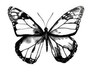 black butterfly watercolor digital painting good quality