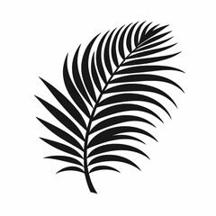 palm tree leaf set silhouette illustration white background