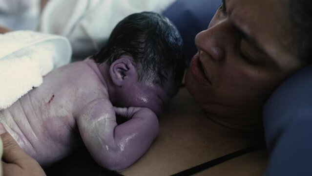 Childbirth moment - authentic pregnancy labor of newborn Baby resting on mother's chest after birth, new human coming to the world, happiness and pain