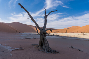 Deadvlei, Sossusvlei, Namibia