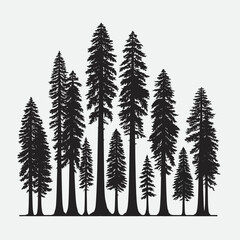 Obraz premium Redwood tree silhouette vector illustration white background